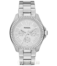 Fossil  AM 4481